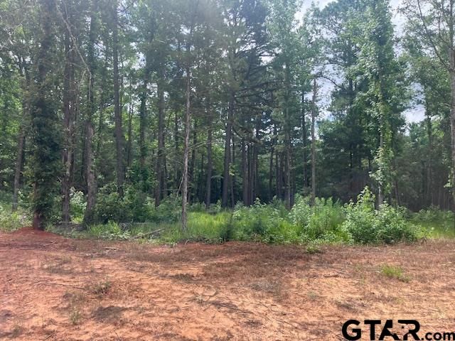 TBD High Pines Drive, Tyler, TX 75708