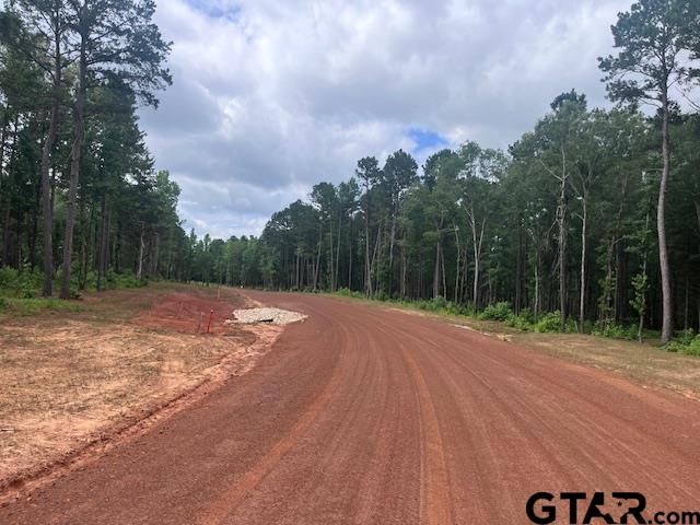 TBD High Pines Drive, Tyler, TX 75708