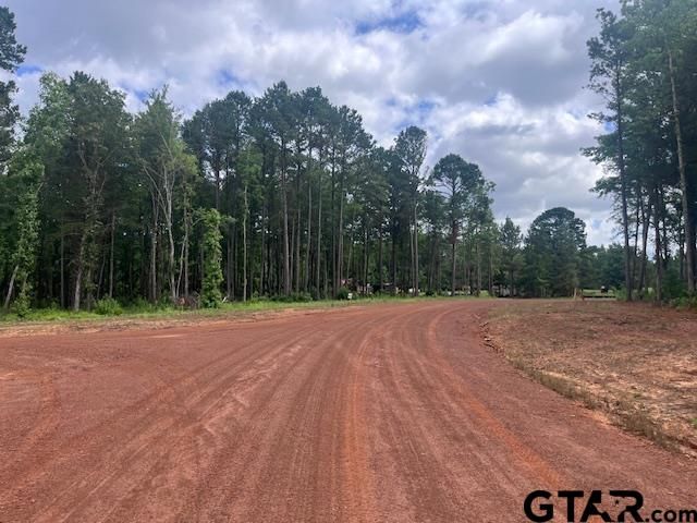 TBD High Pines Drive, Tyler, TX 75708