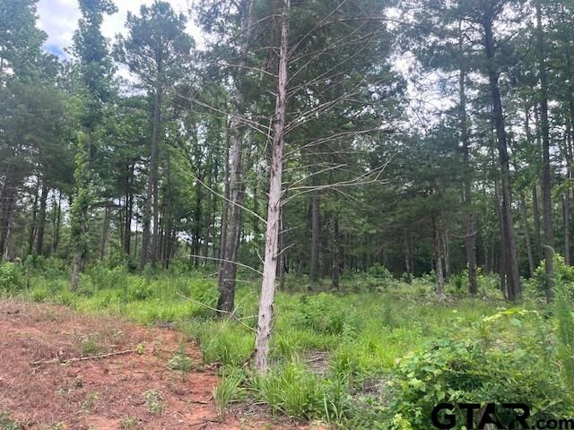 TBD High Pines Drive, Tyler, TX 75708