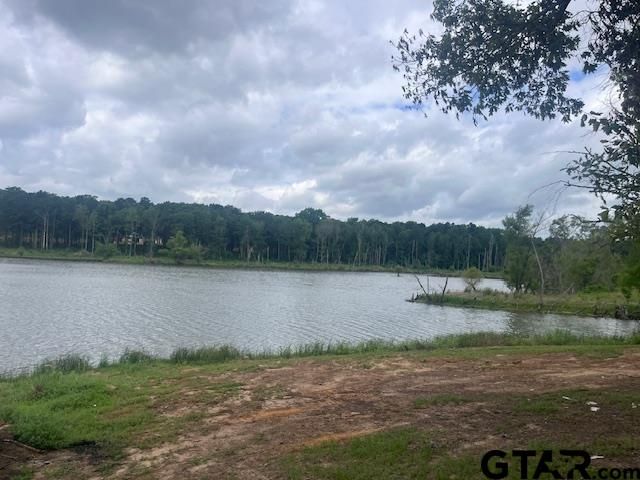 TBD High Pines Drive, Tyler, TX 75708