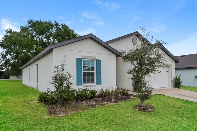 1700 GOPHER TREE STREET, Mascotte, FL 34753