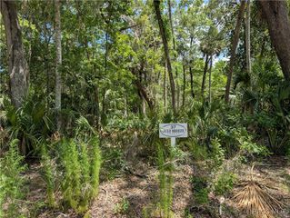13159 W Gulf Shores Street, Inglis, FL 34449