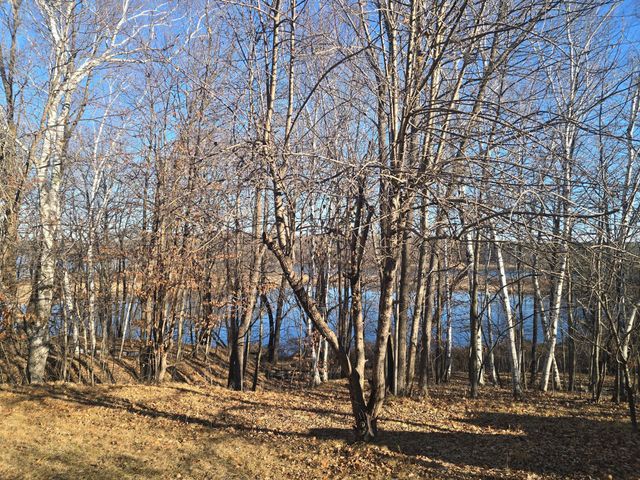 51070 Lake Six Road, Hobart Twp, MN 56544