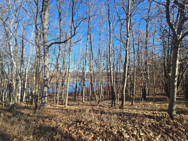 51070 Lake Six Road, Hobart Twp, MN 56544