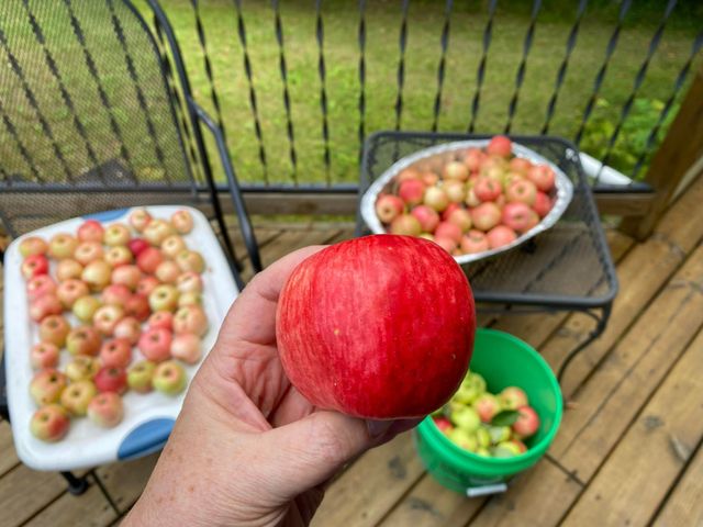 51070 Lake Six Road, Hobart Twp, MN 56544