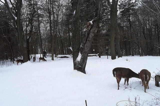 W10892 County Road V, Lodi, WI 53555