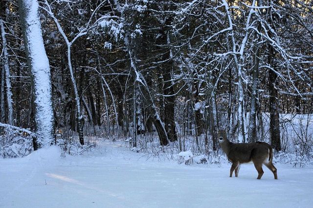 W10892 County Road V, Lodi, WI 53555