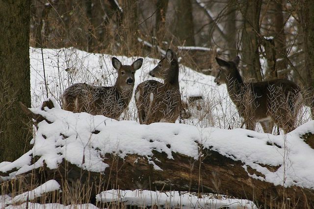 W10892 County Road V, Lodi, WI 53555