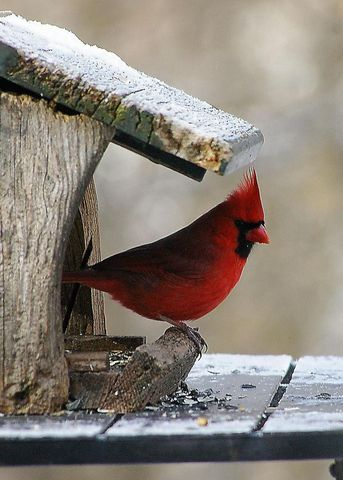 W10892 County Road V, Lodi, WI 53555