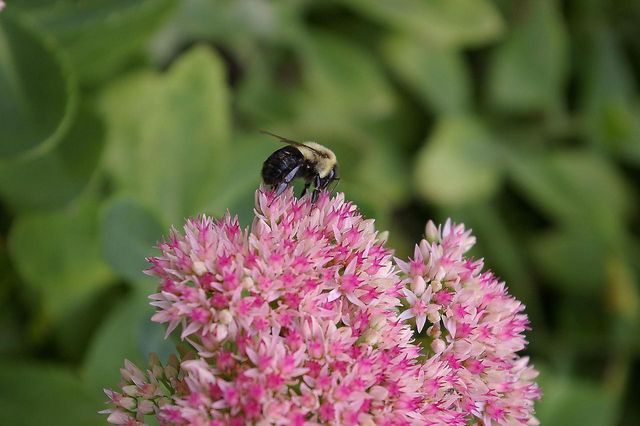 W10892 County Road V, Lodi, WI 53555