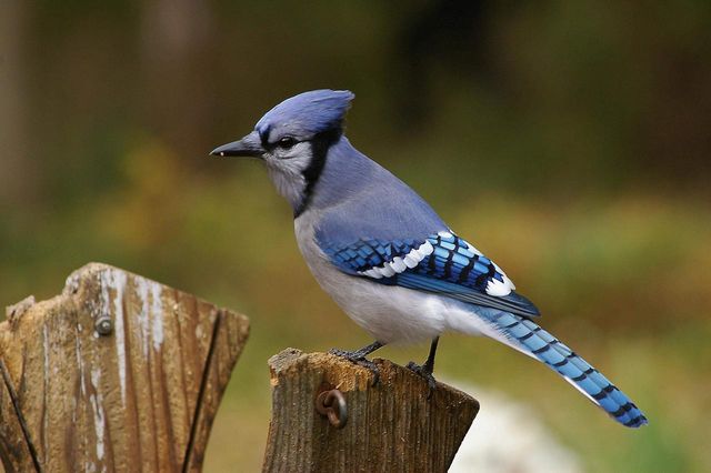 W10892 County Road V, Lodi, WI 53555