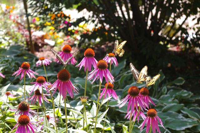 W10892 County Road V, Lodi, WI 53555