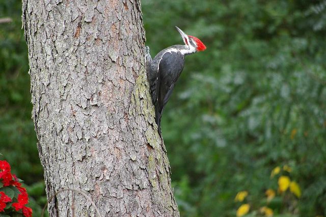 W10892 County Road V, Lodi, WI 53555