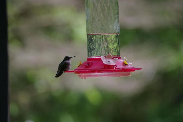 W10892 County Road V, Lodi, WI 53555