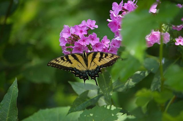 W10892 County Road V, Lodi, WI 53555