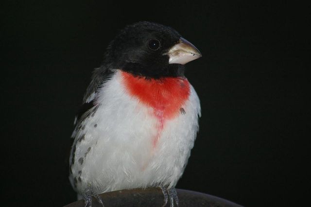 W10892 County Road V, Lodi, WI 53555