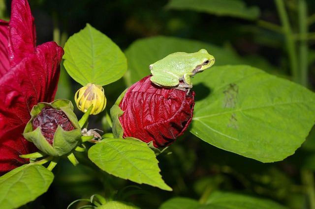 W10892 County Road V, Lodi, WI 53555