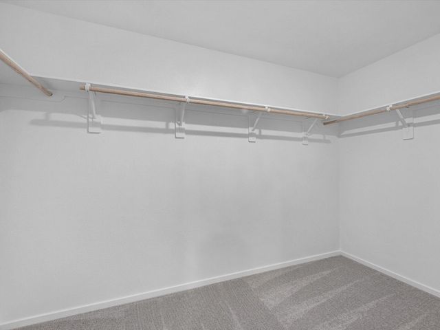 25433 Carnation Court, Montgomery, TX 77316