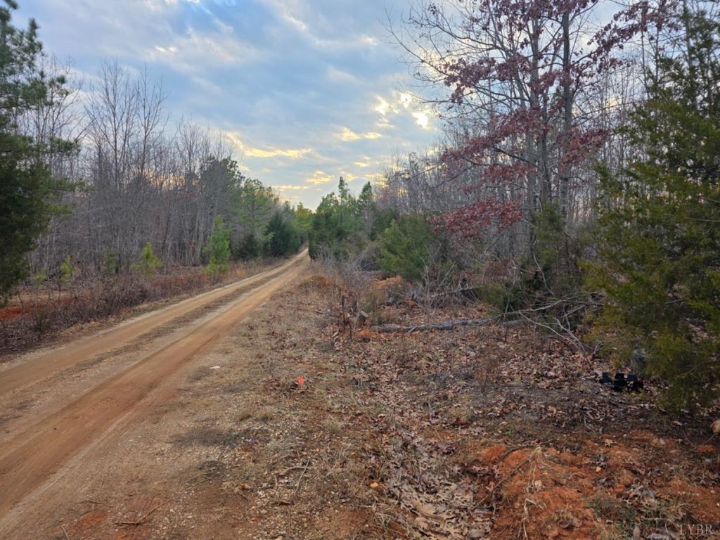 Image 11 of property listing at 0 Happy Trails Lane, Appomattox, VA 24522