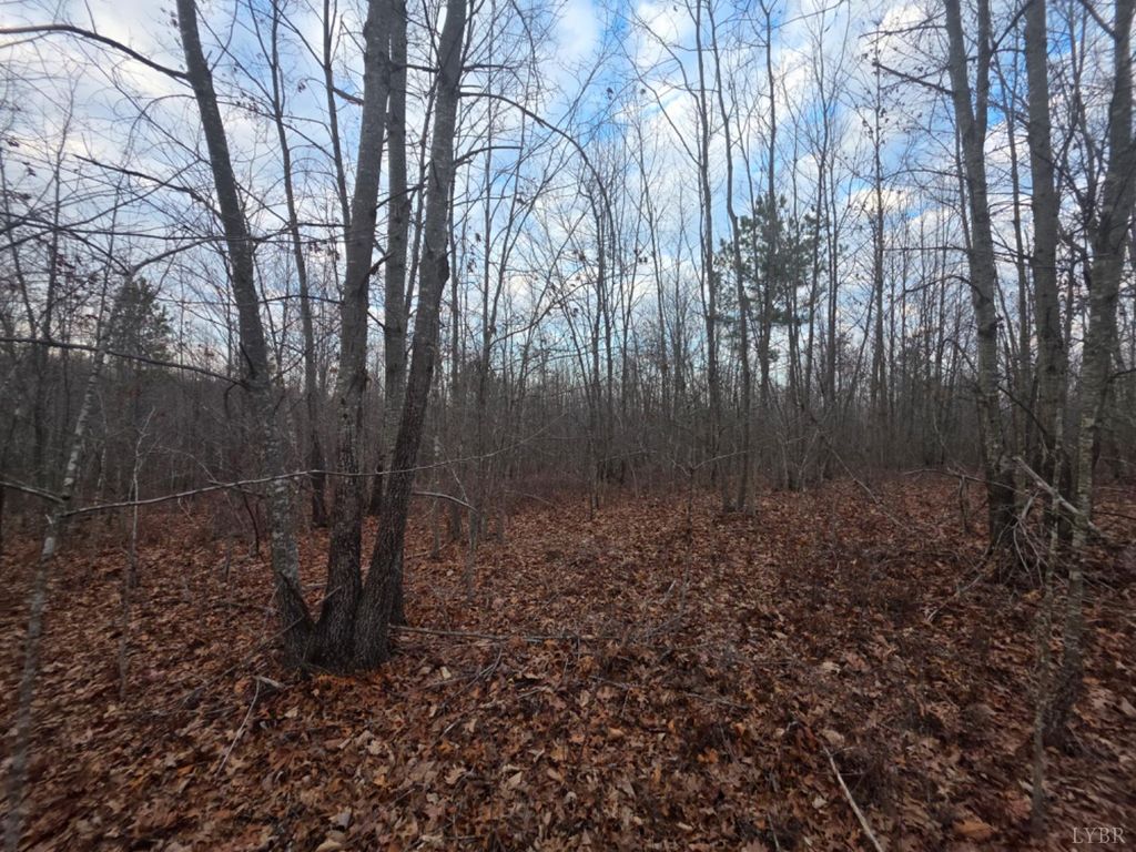 Image 13 of property listing at 0 Happy Trails Lane, Appomattox, VA 24522