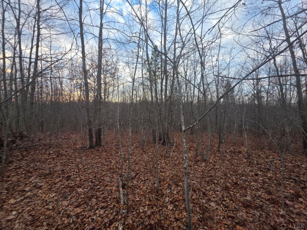 Image 14 of property listing at 0 Happy Trails Lane, Appomattox, VA 24522