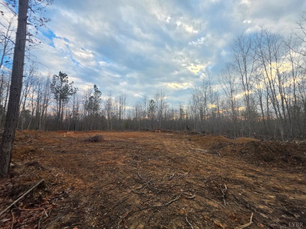 Image 15 of property listing at 0 Happy Trails Lane, Appomattox, VA 24522