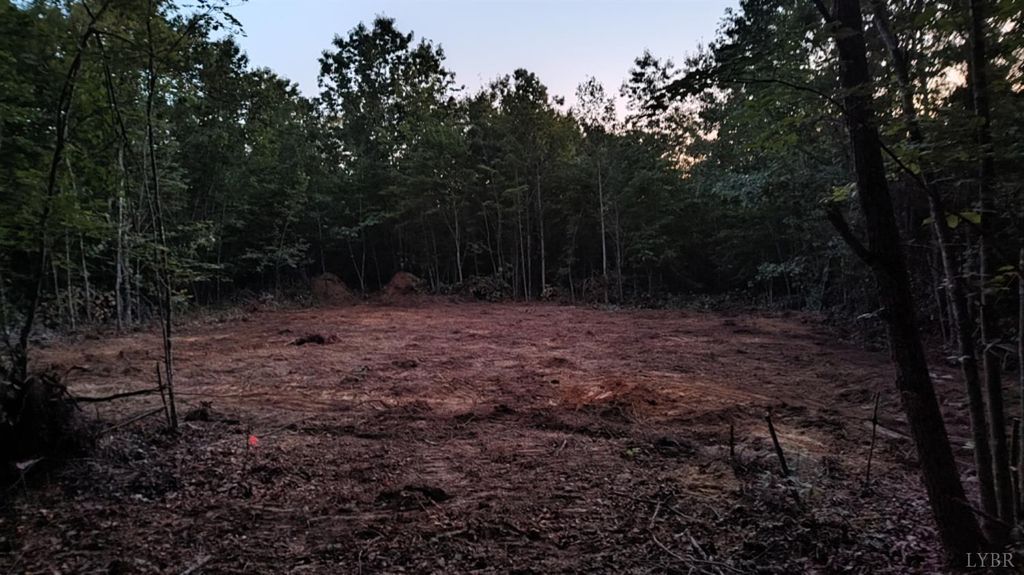 Image 4 of property listing at 0 Happy Trails Lane, Appomattox, VA 24522