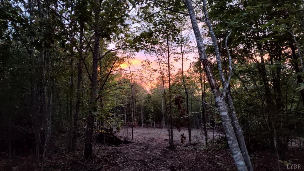 Image 5 of property listing at 0 Happy Trails Lane, Appomattox, VA 24522