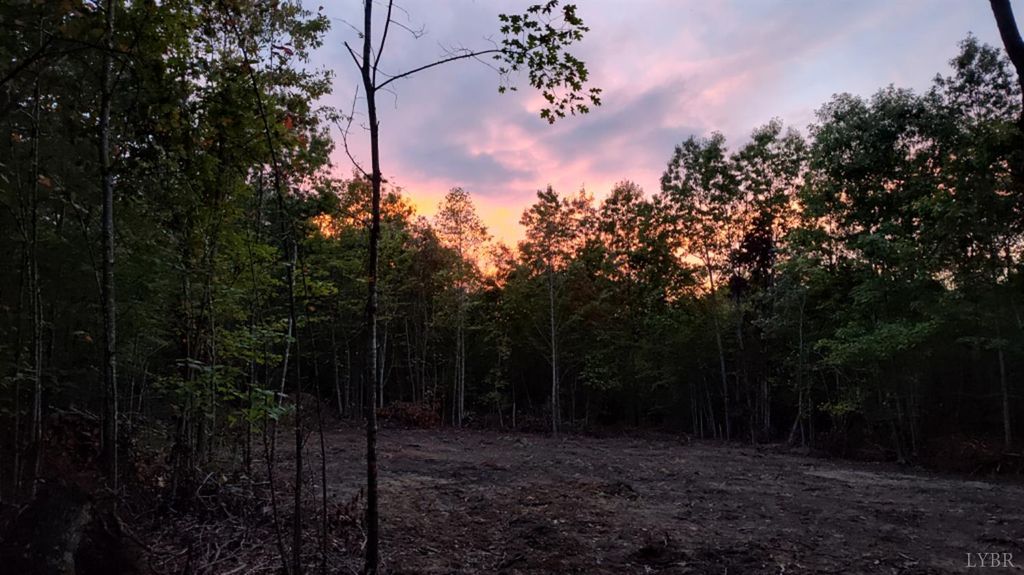 Image 6 of property listing at 0 Happy Trails Lane, Appomattox, VA 24522