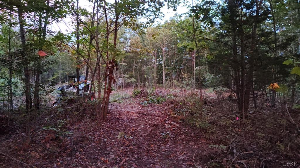 Image 7 of property listing at 0 Happy Trails Lane, Appomattox, VA 24522