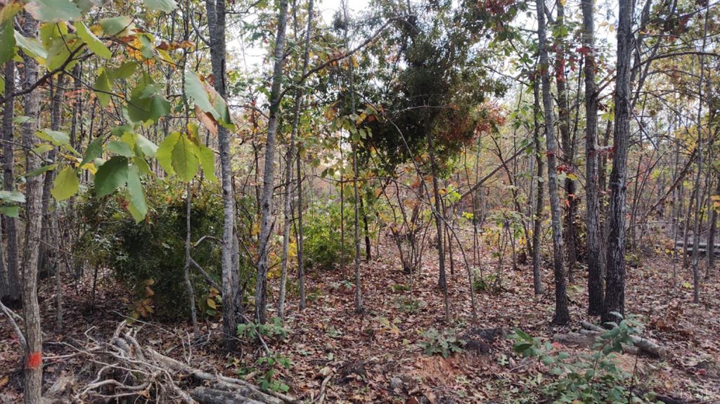 Image 8 of property listing at 0 Happy Trails Lane, Appomattox, VA 24522