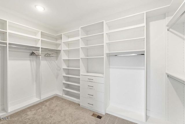 506 Allesandra Drive, Clayton, NC 27527