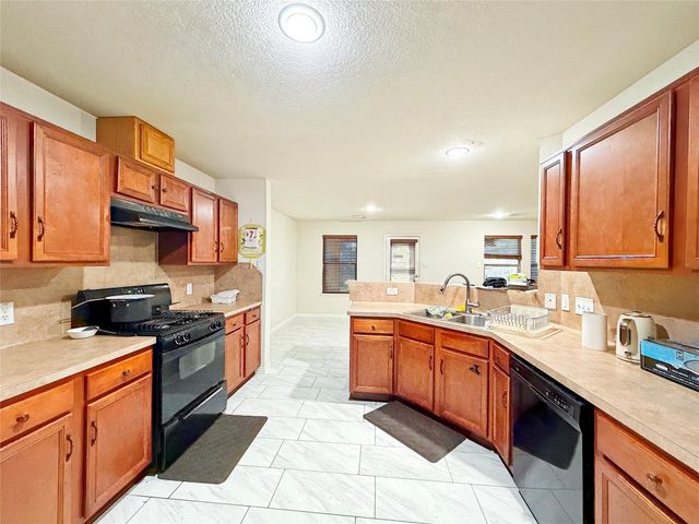 9507 Narnia Springs Court, Houston, TX 77075