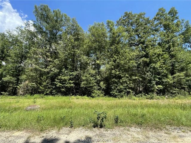 Lots 265-267 Knottypine, Livingston, TX 77351