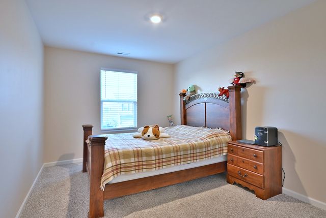 1381 Vineyard Lane, Pingree Grove, IL 60140