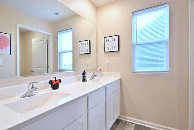 1381 Vineyard Lane, Pingree Grove, IL 60140