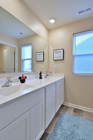 1381 Vineyard Lane, Pingree Grove, IL 60140