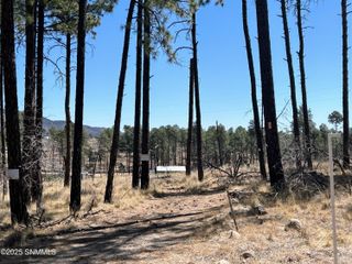 31 Bahamas Drive, Timberon, NM 88350