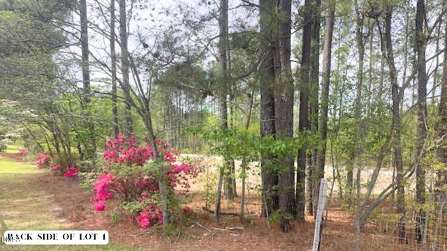 0 U.S. 401, Fuquay Varina, NC 27526