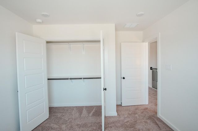 6215 Royal Palm Drive, Manvel, TX 77578