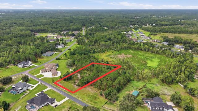 8616 SPRING FOREST LANE, Wesley Chapel, FL 33544