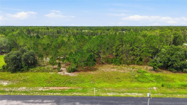 8616 SPRING FOREST LANE, Wesley Chapel, FL 33544