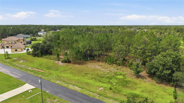 8616 SPRING FOREST LANE, Wesley Chapel, FL 33544