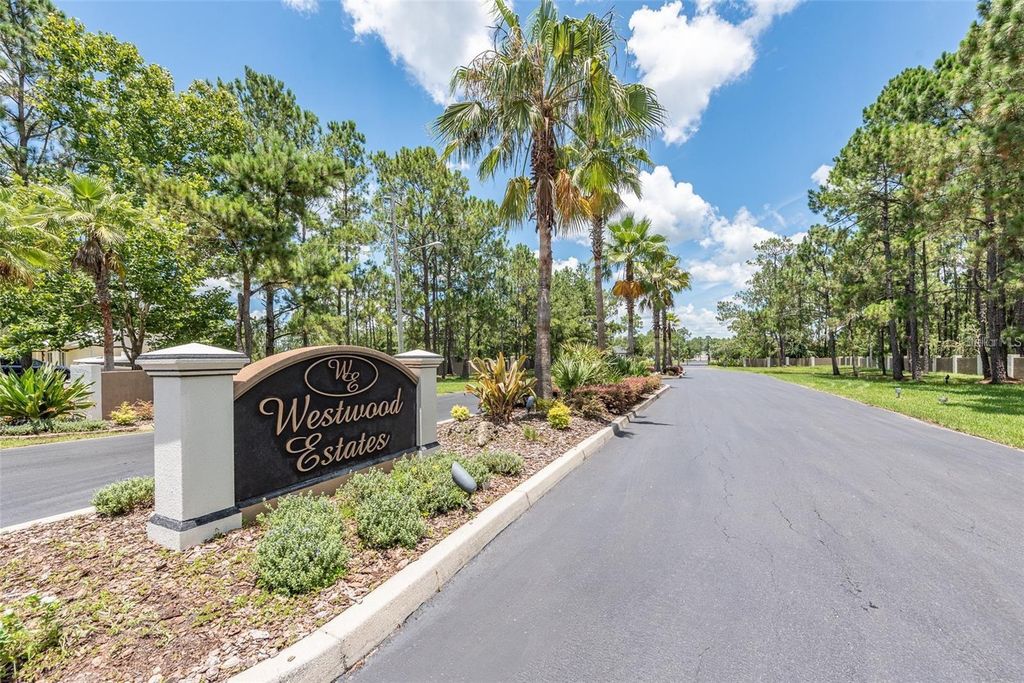 8616 SPRING FOREST LANE, Wesley Chapel, FL 33544