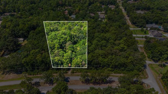 19296 Riverwalk Drive, Porter, TX 77365