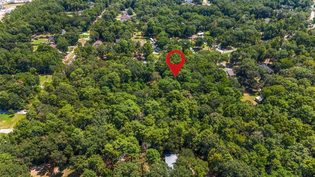 19296 Riverwalk Drive, Porter, TX 77365