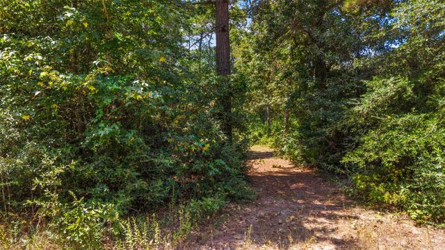 19296 Riverwalk Drive, Porter, TX 77365