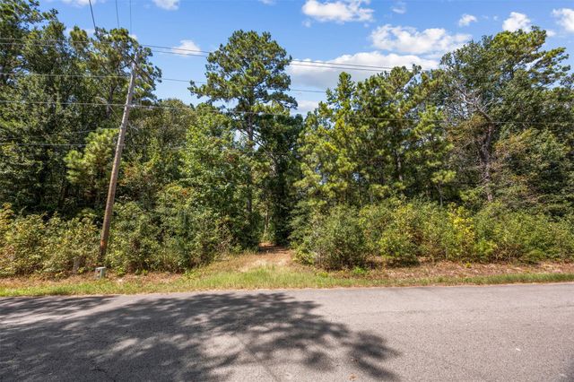 19296 Riverwalk Drive, Porter, TX 77365