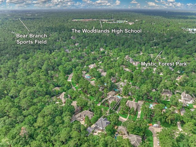58 E Coldbrook Circle, The Woodlands, TX 77381